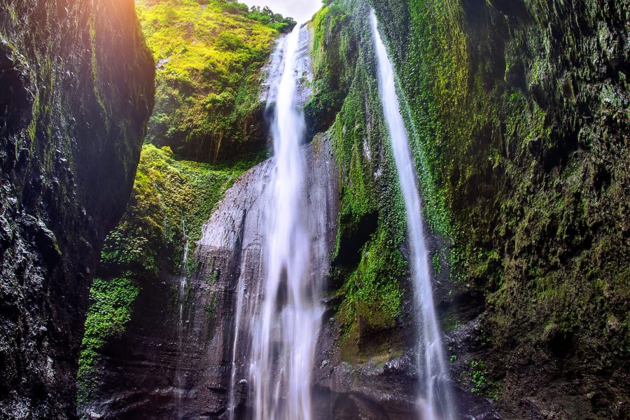 Trekking & Nature Walks